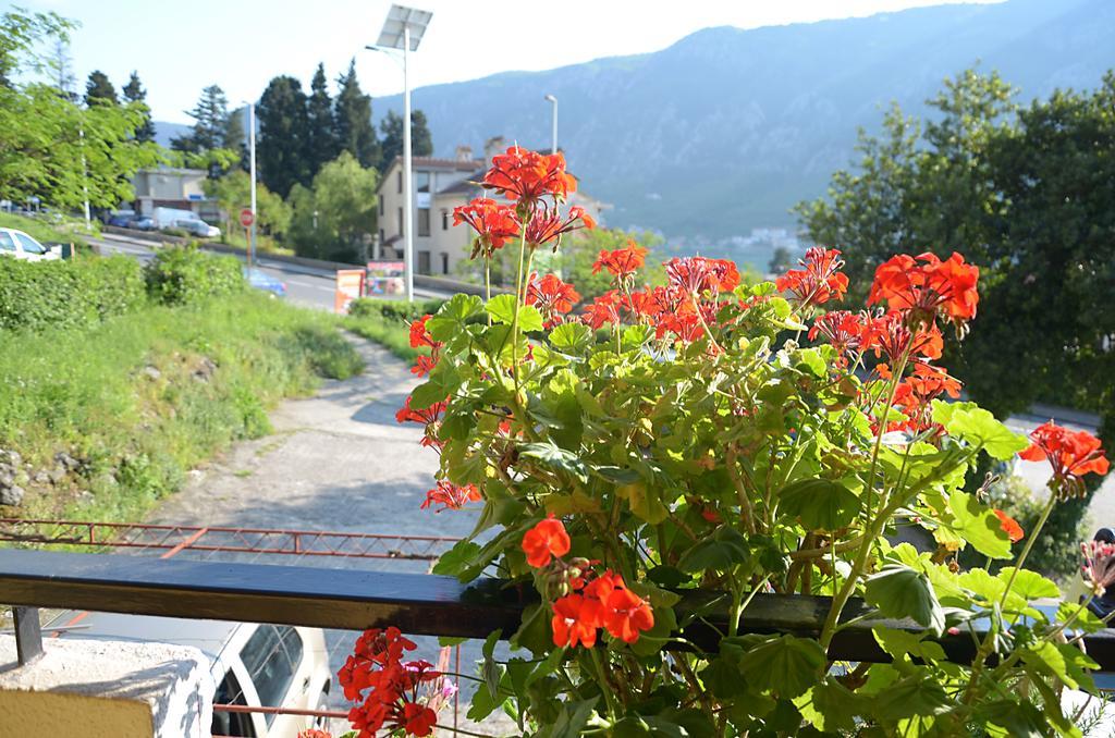 Apartment Luka Κότορ Εξωτερικό φωτογραφία